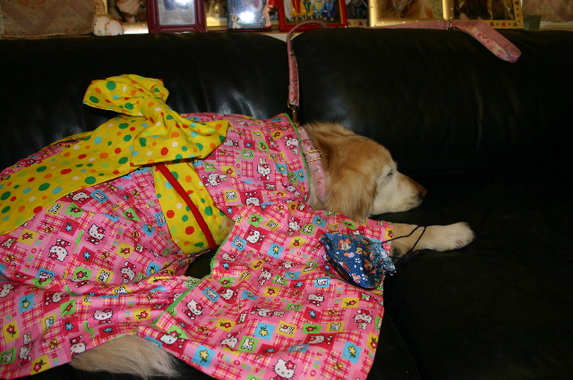 ファイル 593-2.jpg