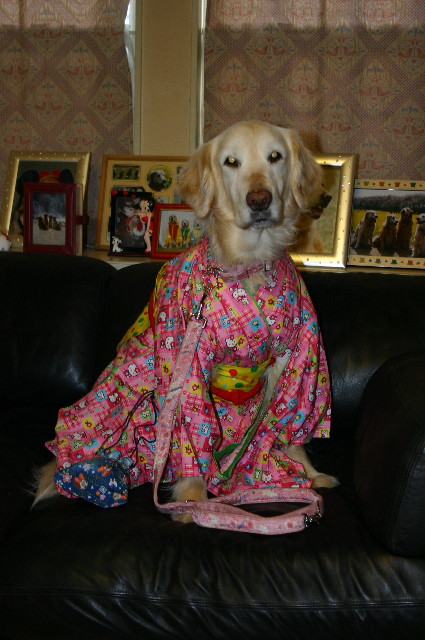 ファイル 593-3.jpg