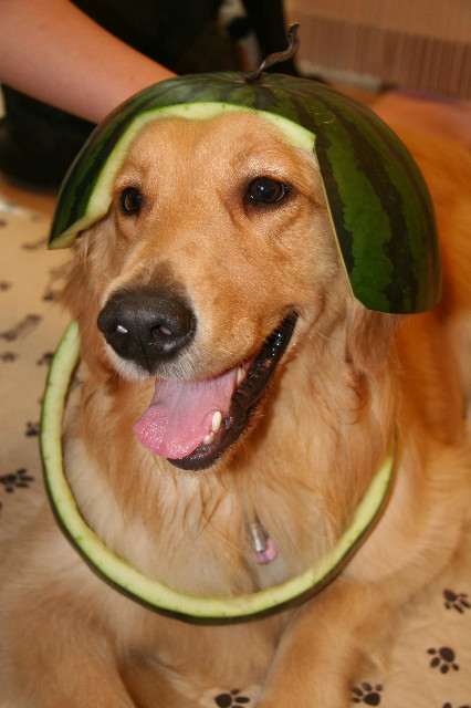 ファイル 593-5.jpg