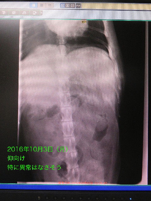 ファイル 5930-4.jpg