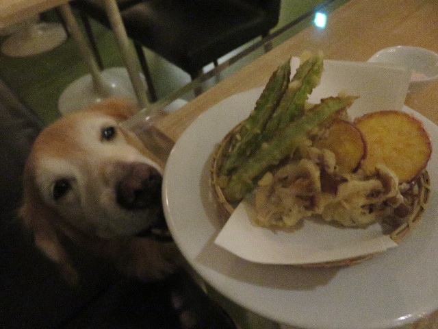 ファイル 5932-5.jpg