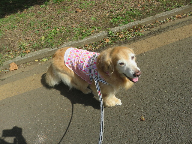 ファイル 5934-1.jpg