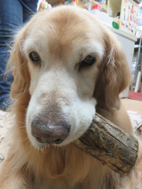 ファイル 5934-4.jpg