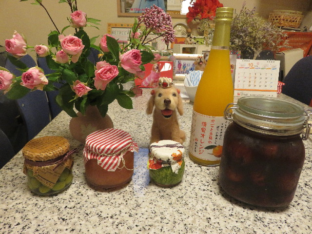 ファイル 5935-1.jpg