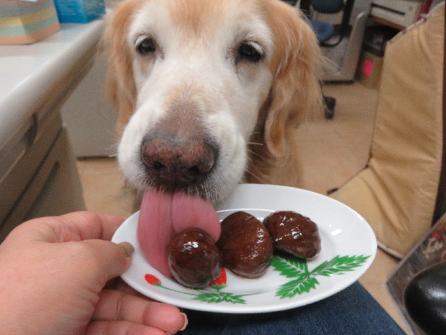 ファイル 5935-3.jpg