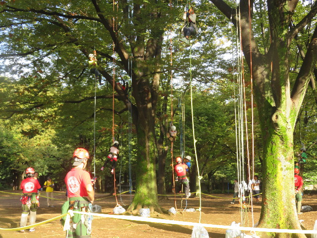 ファイル 5937-4.jpg