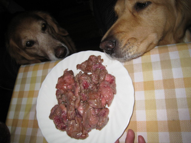 ファイル 594-3.jpg