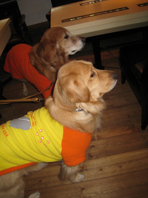 ファイル 594-4.jpg