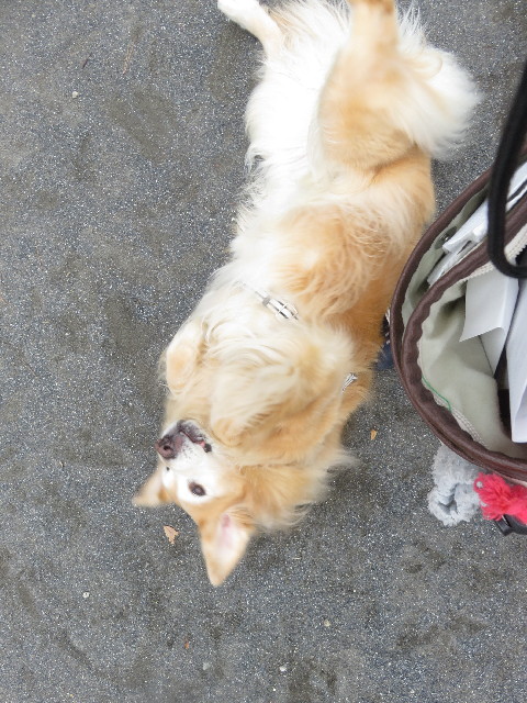 ファイル 5942-5.jpg