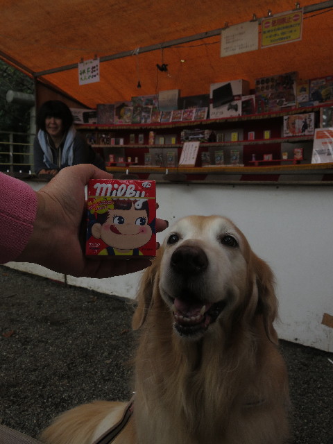 ファイル 5943-4.jpg