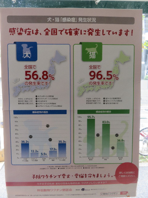 ファイル 5945-2.jpg