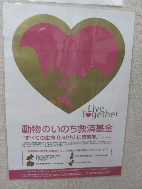 ファイル 5945-4.jpg