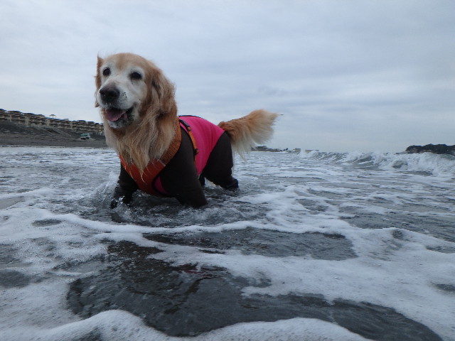 ファイル 5946-5.jpg