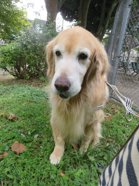 ファイル 5948-2.jpg