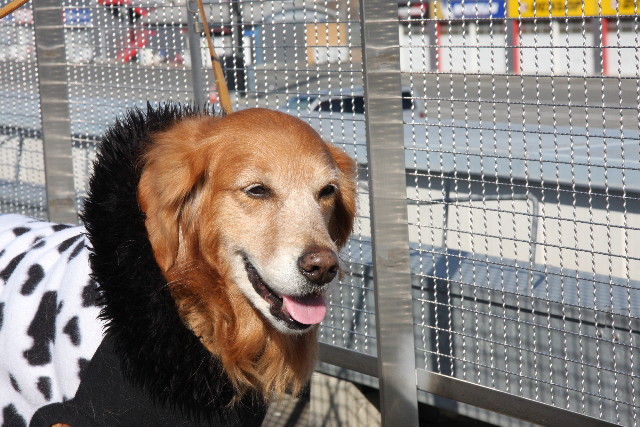 ファイル 595-2.jpg