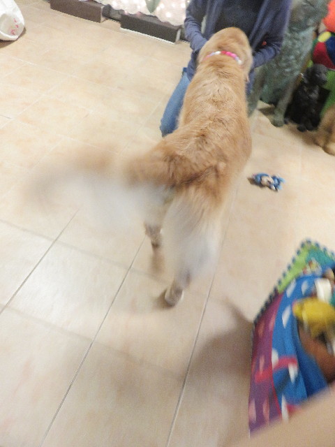 ファイル 5951-2.jpg