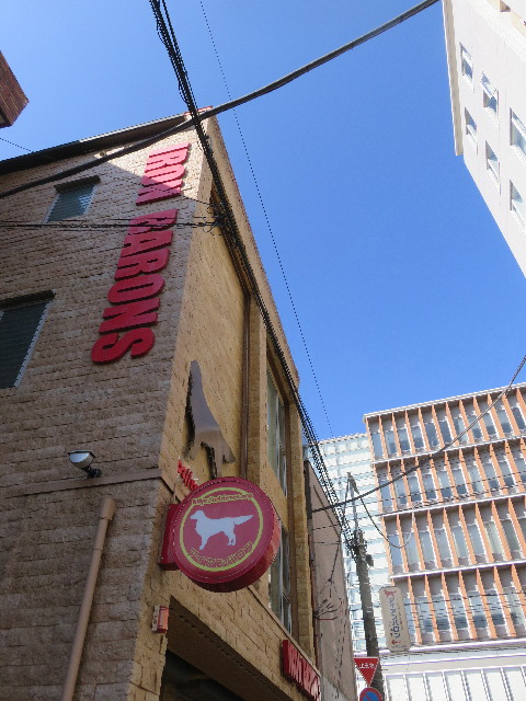 ファイル 5954-1.jpg