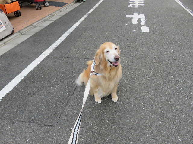 ファイル 5955-3.jpg