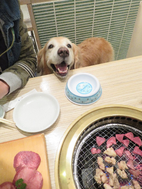 ファイル 5956-3.jpg