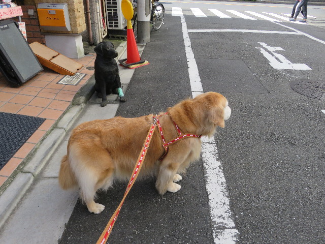 ファイル 5958-1.jpg