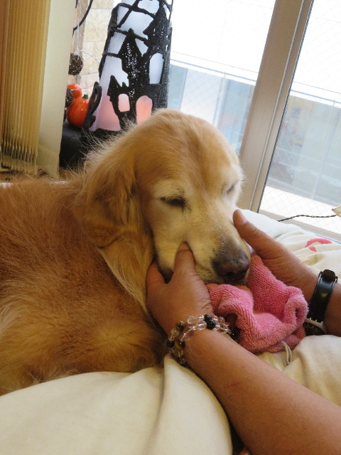 ファイル 5958-5.jpg