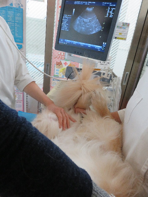 ファイル 5959-3.jpg