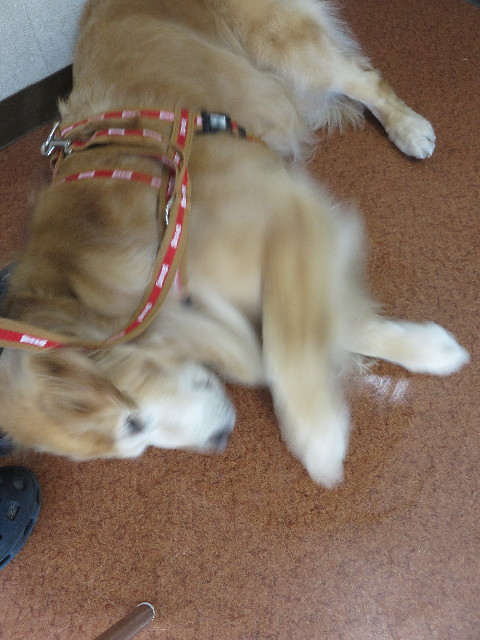 ファイル 5959-5.jpg