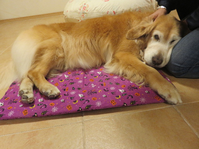 ファイル 5966-4.jpg