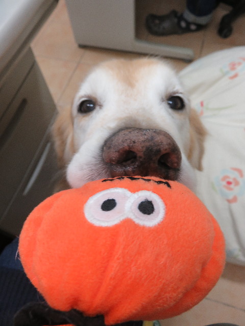 ファイル 5969-2.jpg