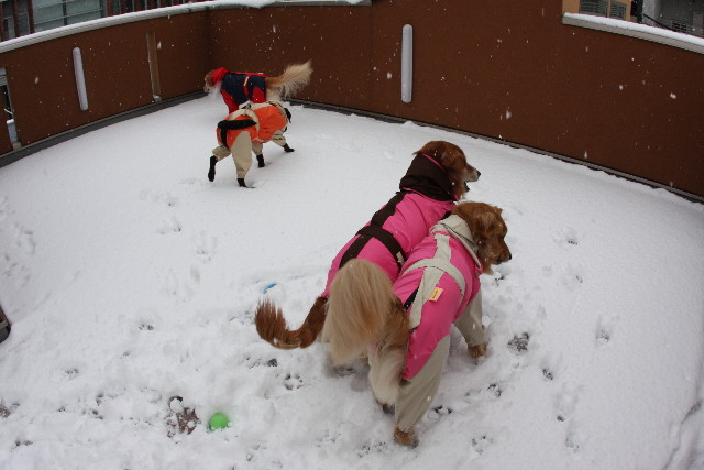 ファイル 597-1.jpg