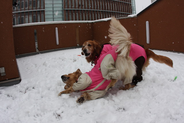 ファイル 597-3.jpg