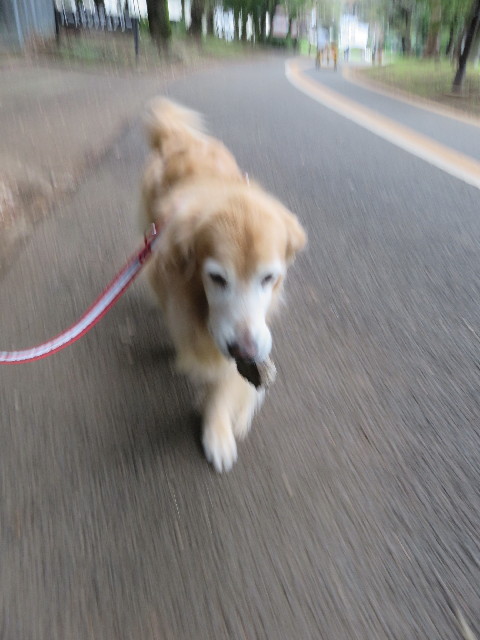 ファイル 5970-3.jpg