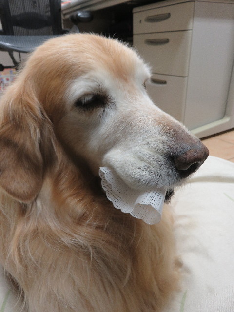 ファイル 5970-4.jpg