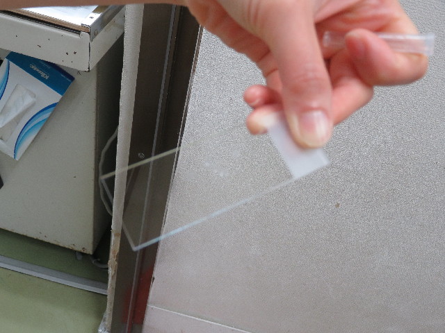 ファイル 5971-4.jpg