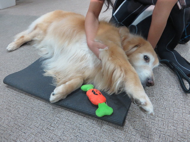 ファイル 5972-2.jpg