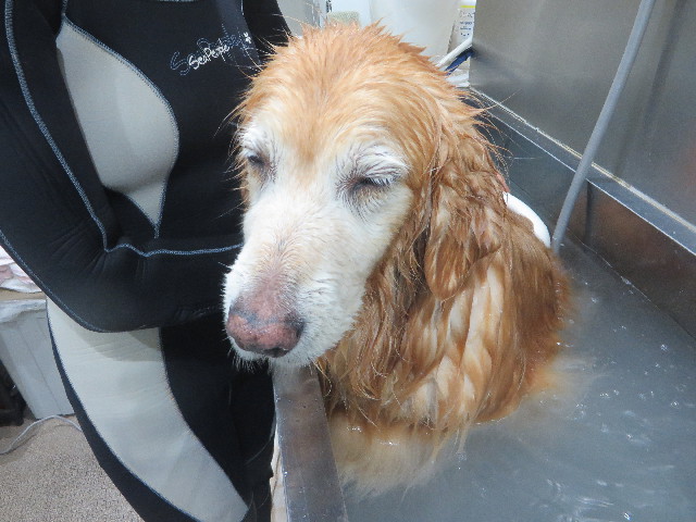 ファイル 5972-5.jpg