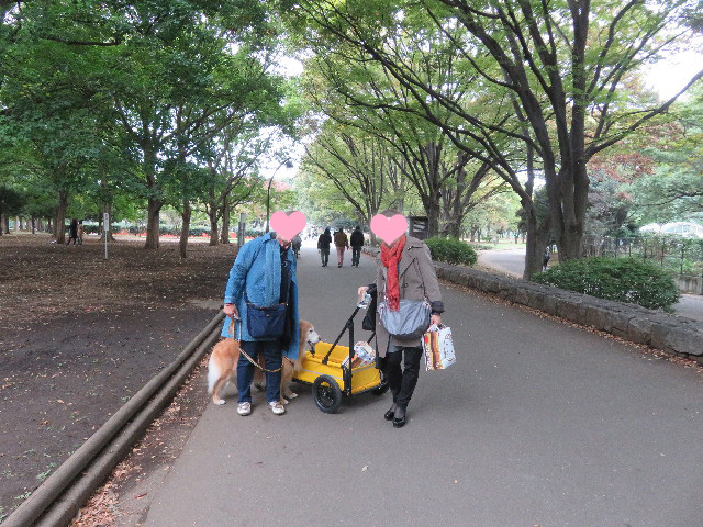 ファイル 5977-2.jpg