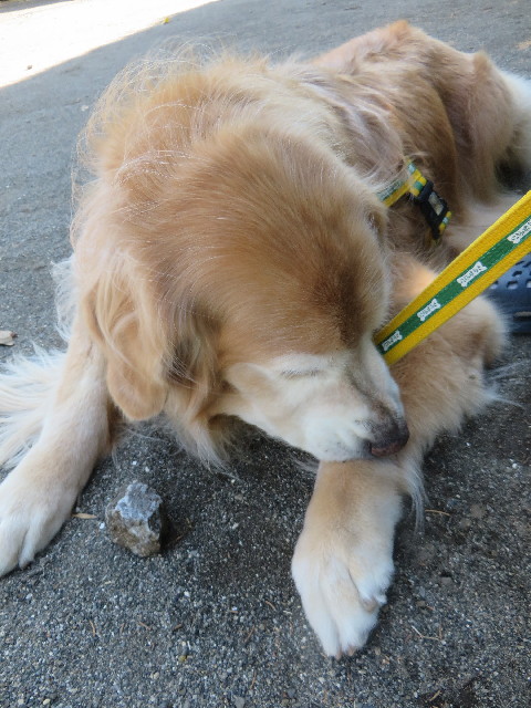 ファイル 5978-2.jpg