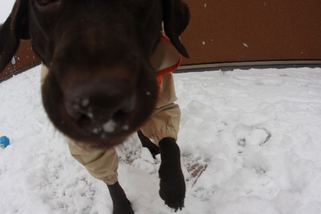 ファイル 598-3.jpg