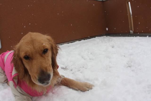 ファイル 598-4.jpg