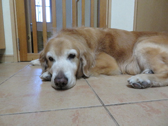 ファイル 5980-2.jpg