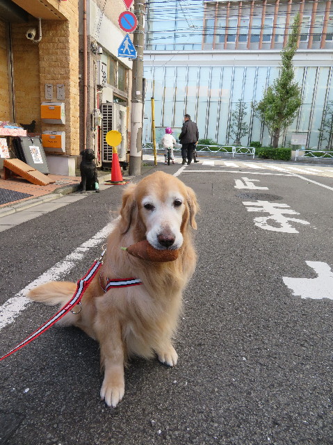 ファイル 5981-1.jpg