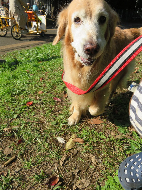 ファイル 5981-2.jpg