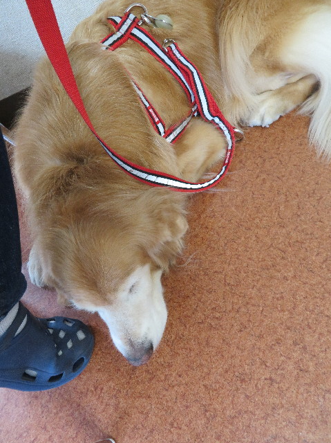 ファイル 5982-4.jpg