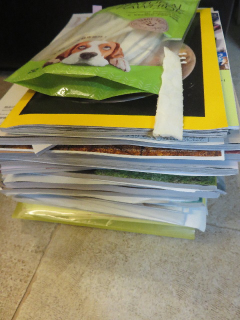 ファイル 5984-1.jpg