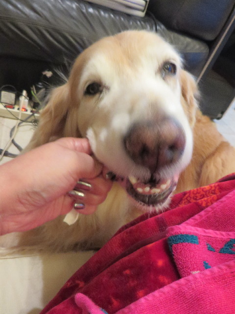 ファイル 5984-2.jpg