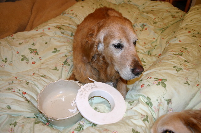 ファイル 5984-3.jpg