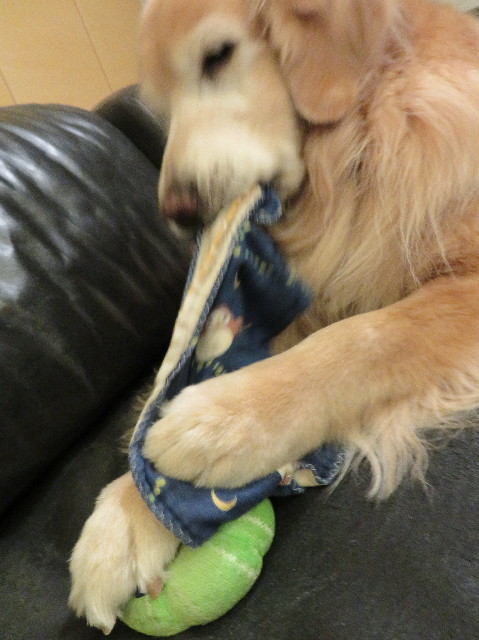 ファイル 5984-4.jpg