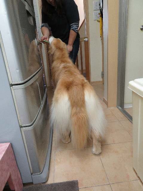 ファイル 5984-5.jpg