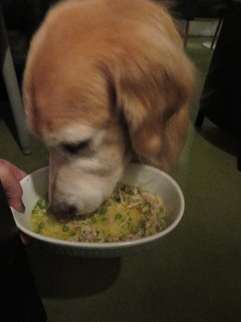 ファイル 5985-2.jpg